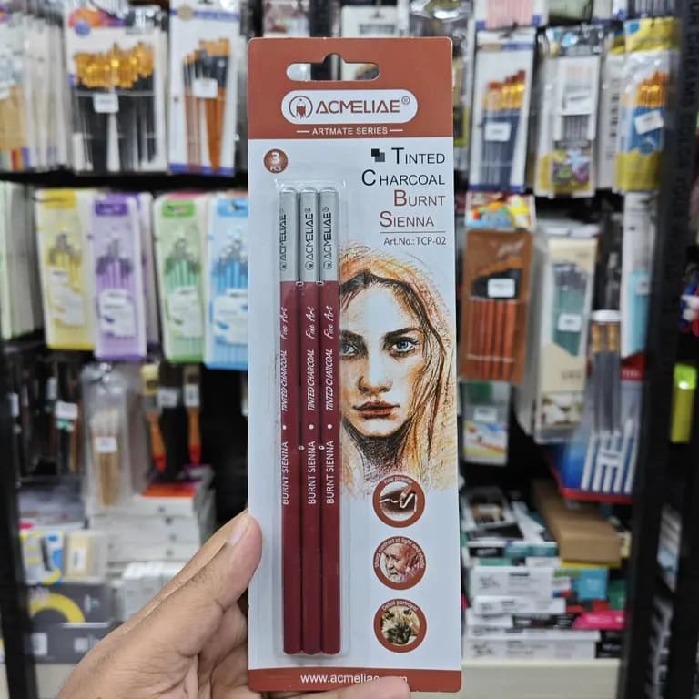 Acmelia Tinted charcoal burnt Sienna Pencil 3pes